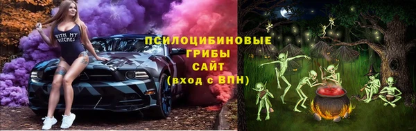 стаф Вяземский